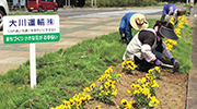 地域花壇の花植え作業状況