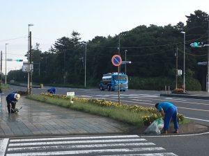 2017.9.9除草作業＆後期健診の様子①